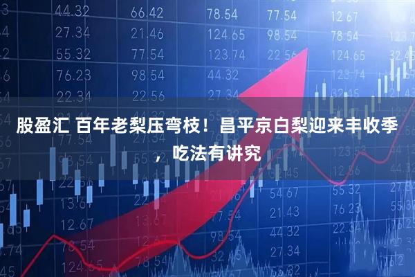 股盈汇 百年老梨压弯枝！昌平京白梨迎来丰收季，吃法有讲究