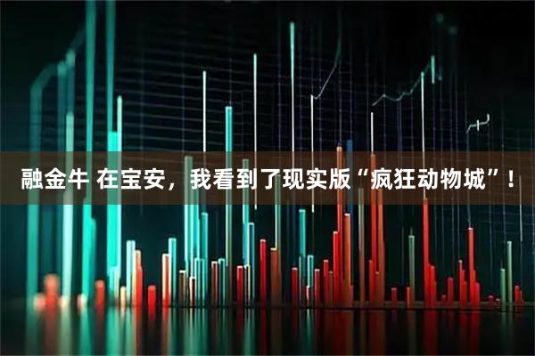 融金牛 在宝安，我看到了现实版“疯狂动物城”！