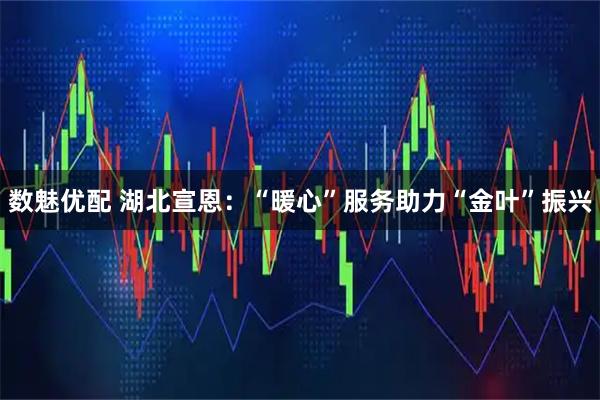 数魅优配 湖北宣恩:“暖心”服务助力“金叶”振兴