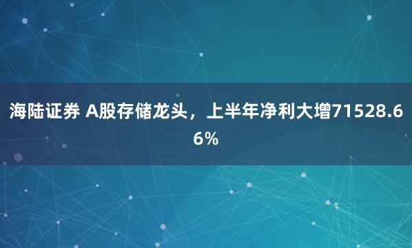 海陆证券 A股存储龙头，上半年净利大增71528.66%